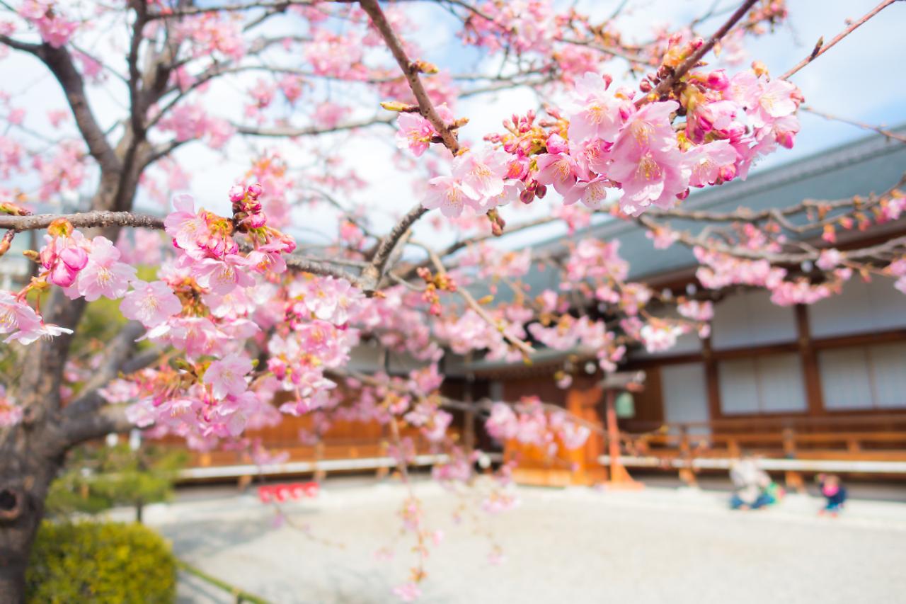 Stay Sakura Kyoto Shijo Karasuma Экстерьер фото