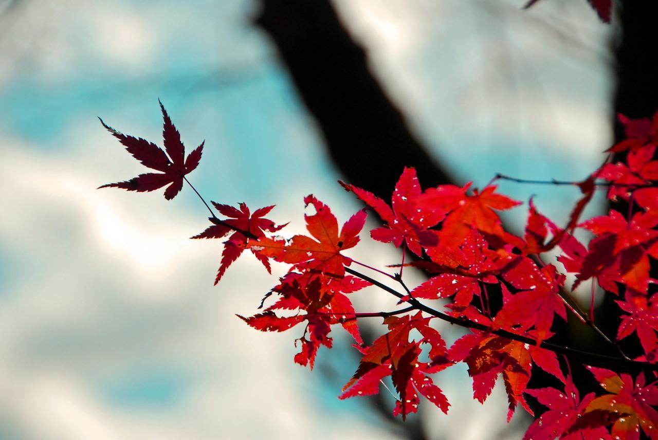 Stay Sakura Kyoto Shijo Karasuma Экстерьер фото